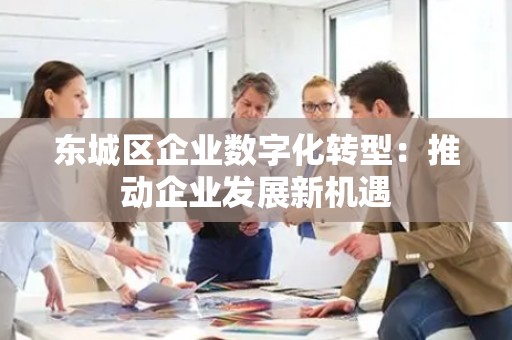 平谷区企业数字化转型：推动企业发展新机遇