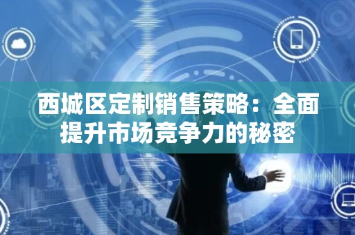 西城区定制销售策略：全面提升市场竞争力的秘密