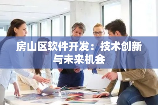 房山区软件开发：技术创新与未来机会