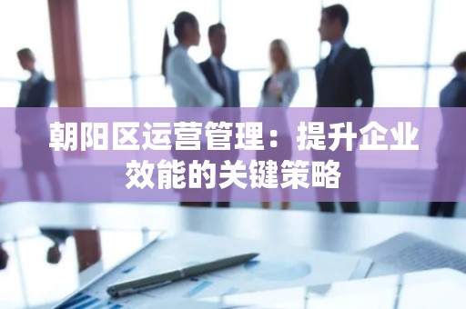 朝阳区运营管理：提升企业效能的关键策略