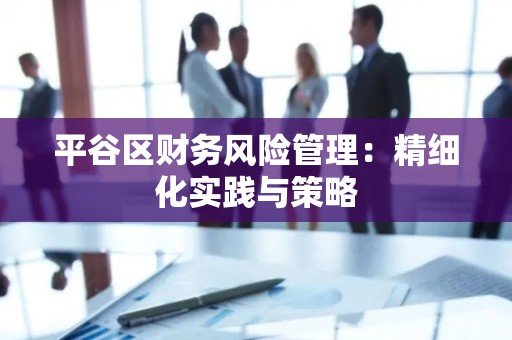 平谷区财务风险管理：精细化实践与策略